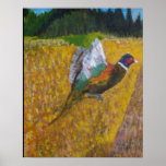 Ring Neck Pheasant Poster