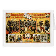 Ringling Bros Pachyderms1899 Card