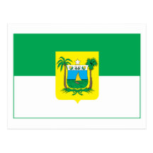 Rio Grande Do Norte Flag Postcard