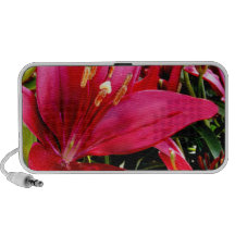 Rio Red Lily II Speaker- customise