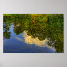 Ripples Posters