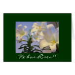 RISEN CARDS
