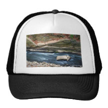 River at NYC Botanical Garden Hat