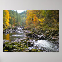 River Fall Print