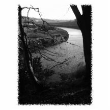 River Taw. Black and White. Photo Cut Out