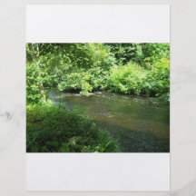 Riverbank Flyer