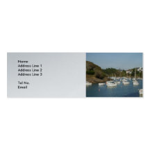 Riverboats Business Card