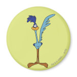 Road Runner in Colour magnets