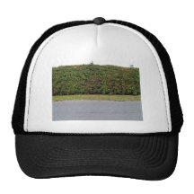 Road with hedges mesh hat