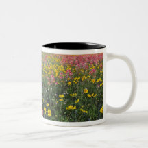 Roadside wildflowers in Texas, spring 3 Coffee Mug