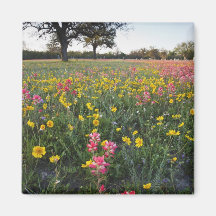 Roadside wildflowers in Texas, spring 3 Fridge Magnet