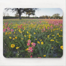 Roadside wildflowers in Texas, spring 3 Mouse Mat