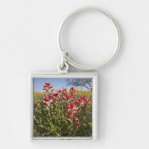 Roadside wildflowers in Texas, spring 4 Key Chains