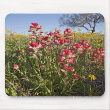 Roadside wildflowers in Texas, spring 4 Mousepad