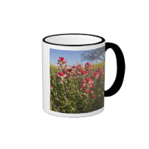 Roadside wildflowers in Texas, spring 4 Mug