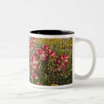 Roadside wildflowers in Texas, spring 4 Mug