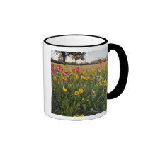 Roadside wildflowers in Texas, spring Coffee Mugs