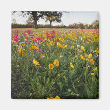 Roadside wildflowers in Texas, spring Refrigerator Magnet