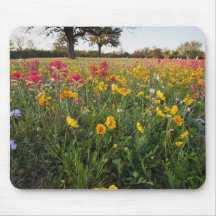 Roadside wildflowers in Texas, spring Mousepad