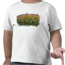 Roadside wildflowers in Texas, spring Tees