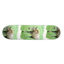 Roaming Roan Horse Skateboard