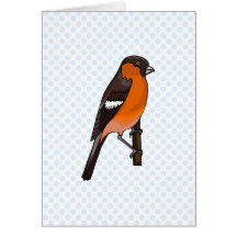 Robbie Robin Greeting Card