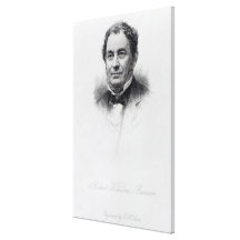 Robert Wilhelm Bunsen, engraved by C.H Jeens Canvas Print
