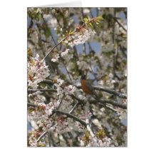 ROBIN & BLOSSOMS Greeting Card