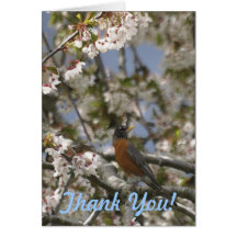 ROBIN & BLOSSOMS Thank You Card