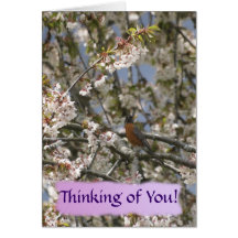 ROBIN & BLOSSOMS Thinking of You Card