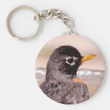 Robin closeup keychains