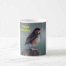 Robin Coffee Mug