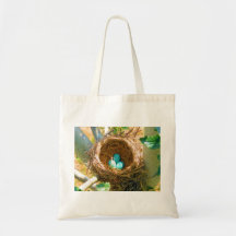 Robin Eggs in a Backyard Tree Nest Bag