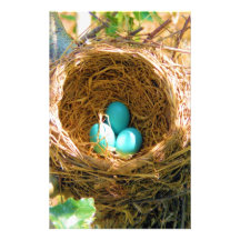 Robin Eggs in a Backyard Tree Nest Stationery Paper