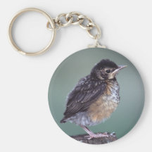 robin key chains