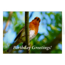 ROBINS CARD