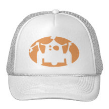 Robot Hat