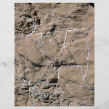 Rock Cracks Patterns Flyer Design