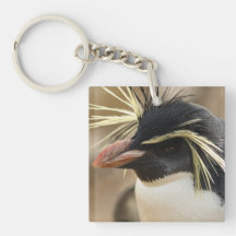 Rockhopper Penguin  Acrylic Keychain