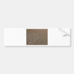 Rocks In Mud Tracks Bumper Stickers