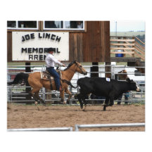 Rodeo Ropin' Cowboy 16x20 Photo Art