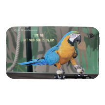 Rollerskating Parrot Case iPhone 3 Case-Mate Cases