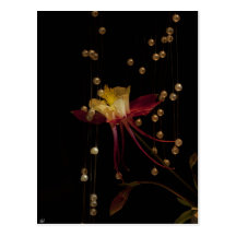 Romance Post Cards