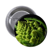 Romanesco Broccoli Fractals Pins