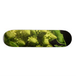 Romanesco Broccoli Skateboard