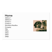 Romantic Italian Renaissance ART Business Cards