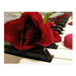 Romantic Red Rose Love Post Cards