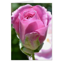 Romantic Rose Bud Card