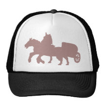 rome-biga mesh hats