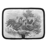 Rooster and Chickens Organizers